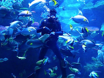 Океанариум Siam Ocean World в Бангкоке