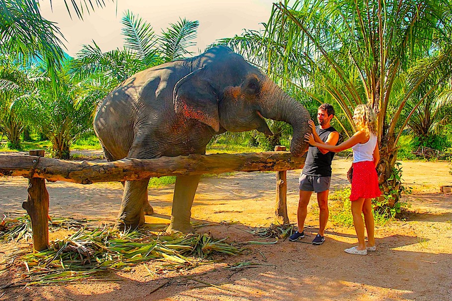 Krabi Elephant Sanctuary