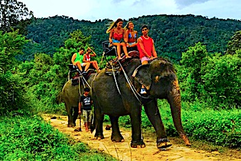 Namuang Safari Park