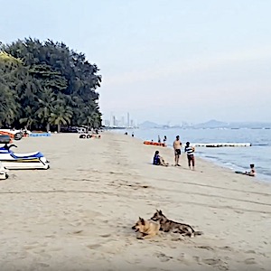 Пляж Пратамнак (Pratumnak Beach)